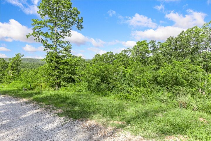 Property Photo: Lot 25 Peaceful Place AR 72601