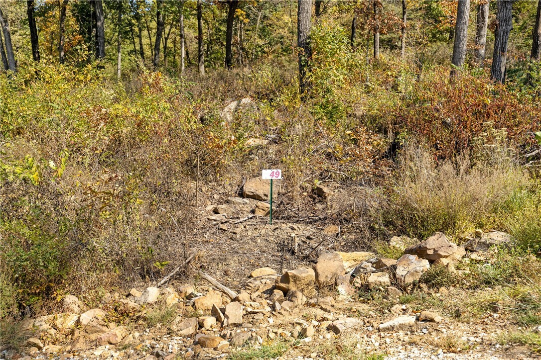 Property Photo:  Lot 49 Restore Ridge  AR 72601 