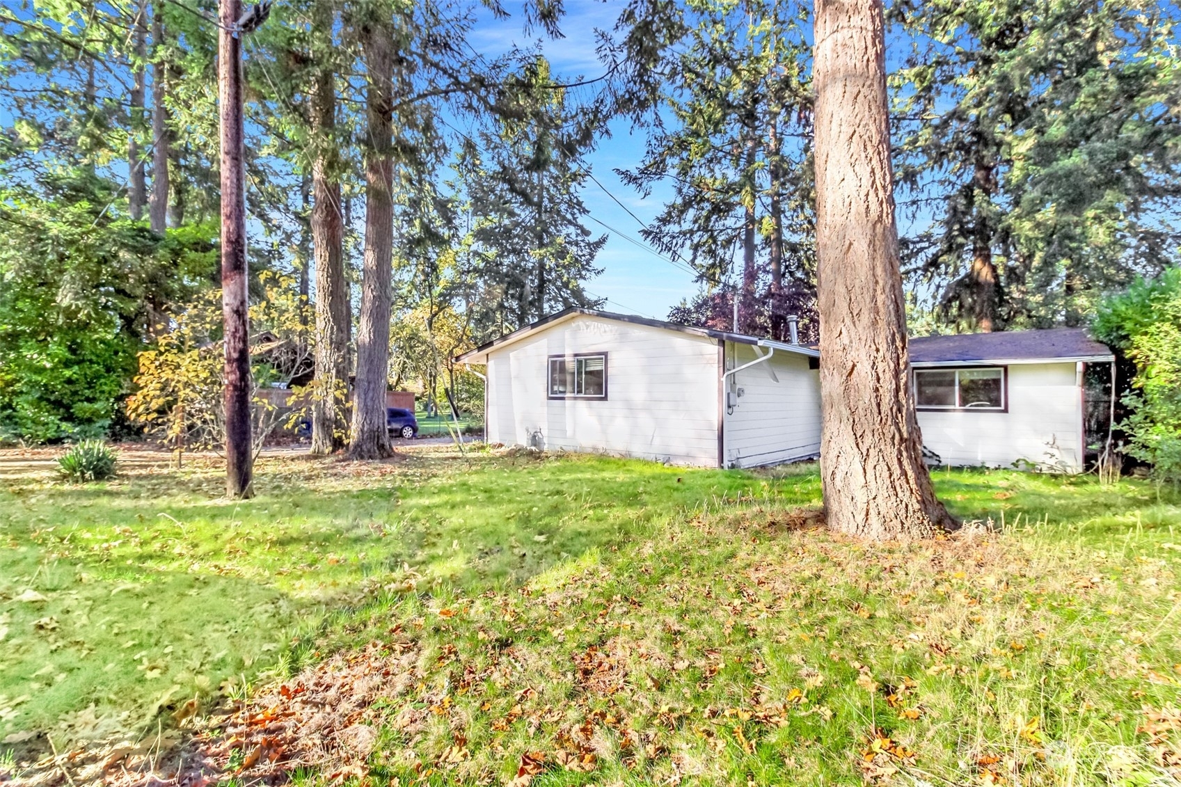 Property Photo:  8203 Mount Tacoma Drive SW  WA 98498 