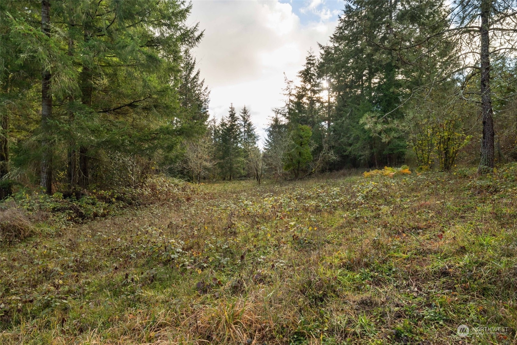 Property Photo:  6219  Whiteman Road SW  WA 98351 