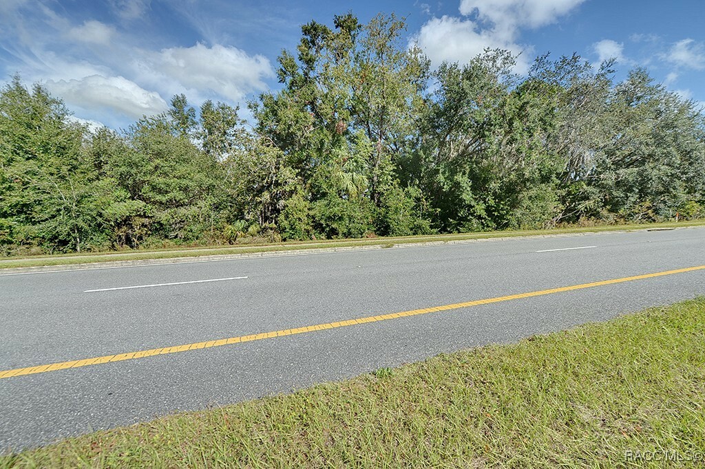 Property Photo:  6049 W Norvell Bryant Highway  FL 34429 