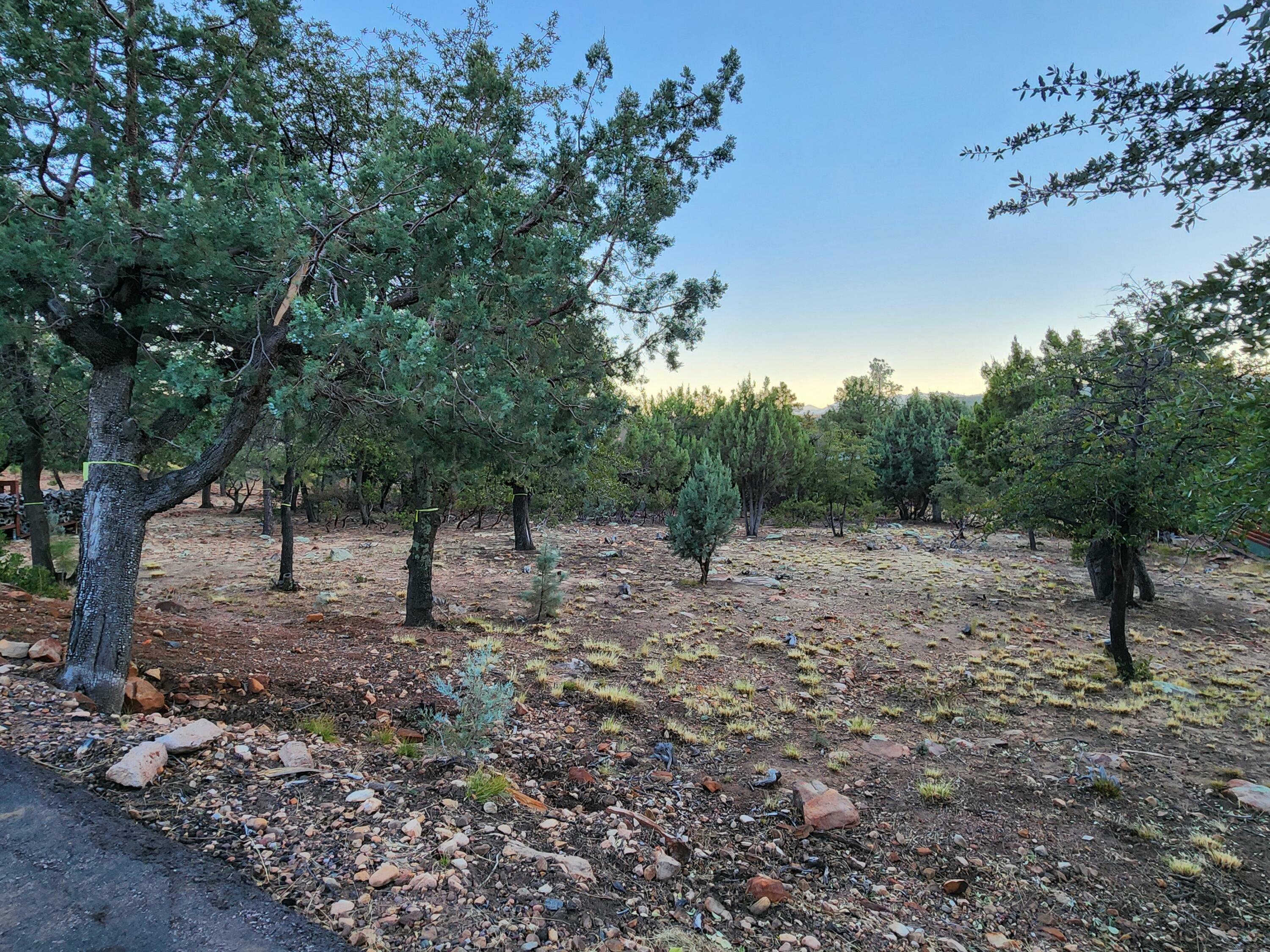 Property Photo:  148 Buffalo Run  AZ 85544 