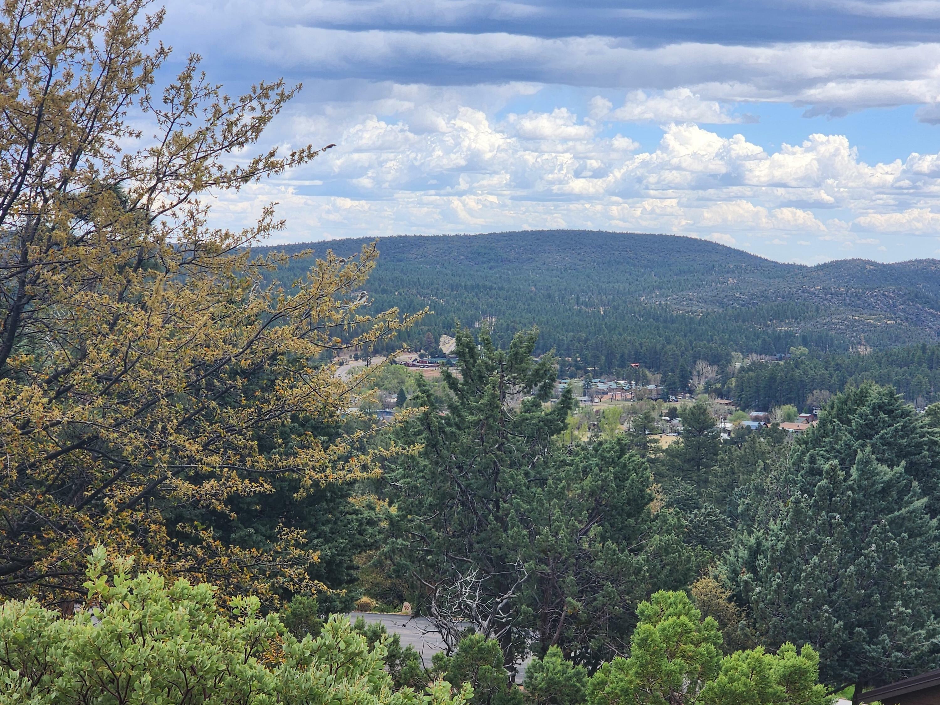 Property Photo:  148 Buffalo Run  AZ 85544 