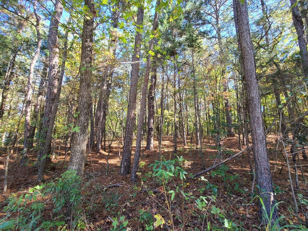 Property Photo:  Lot 38C Red Oak Drive  GA 31831 