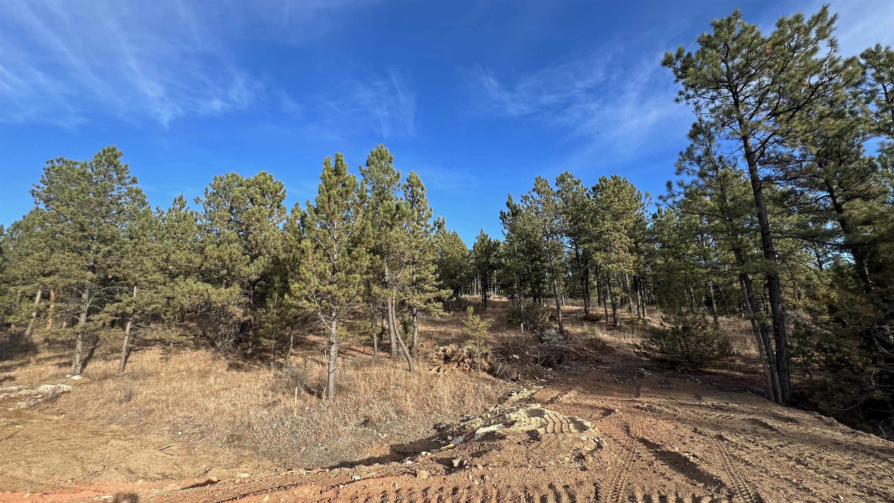 Property Photo:  Lot 11 Northview Court  SD 57747 