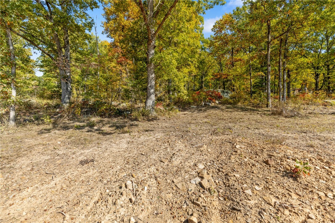 Property Photo:  Lot 61 Restore Ridge  AR 72601 