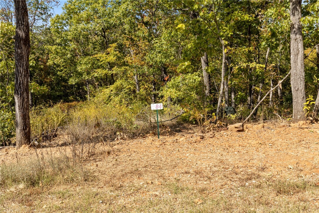 Property Photo:  Lot 84 Restore Ridge  AR 72601 