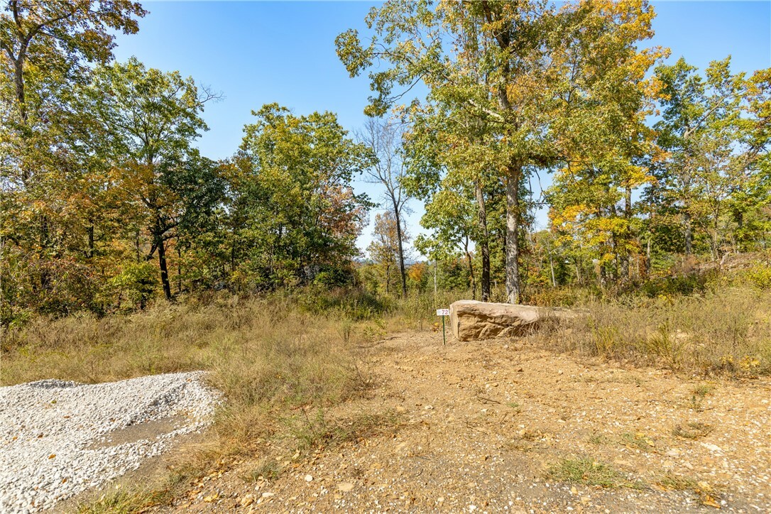 Property Photo:  Lot 72 Restore Ridge  AR 72601 