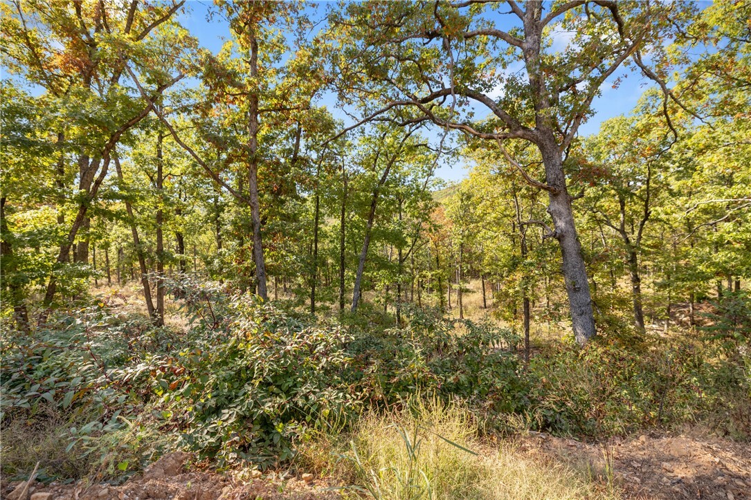 Property Photo:  Lot 66 Restore Ridge  AR 72601 