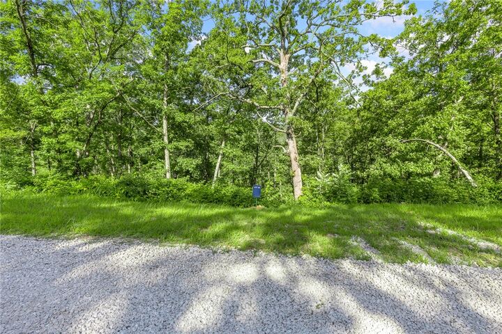 Property Photo: Lot 66 Restore Ridge AR 72601