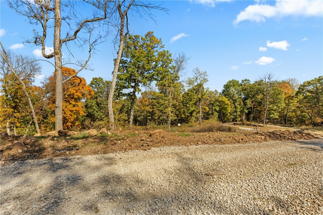 Property Photo:  Lot 93 Restore Circle  AR 72601 