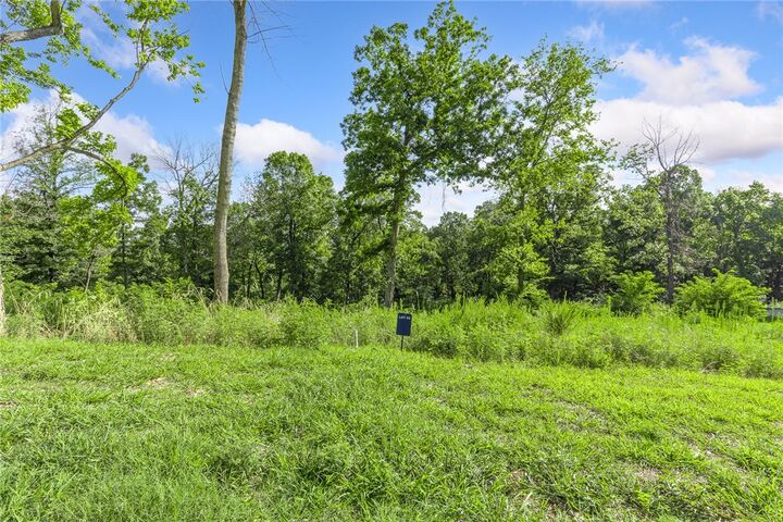 Property Photo: Lot 93 Restore Circle AR 72601