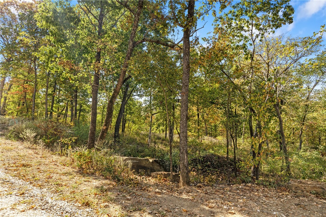 Property Photo:  Lot 82 Restore Ridge  AR 72601 