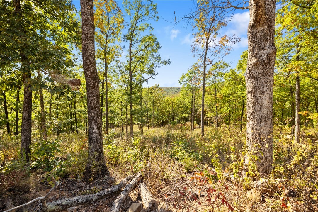 Property Photo:  Lot 67 Restore Ridge  AR 72601 