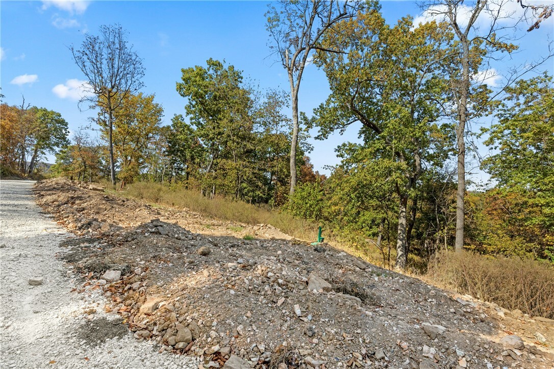 Property Photo:  Lot 91 Restore Circle  AR 72601 