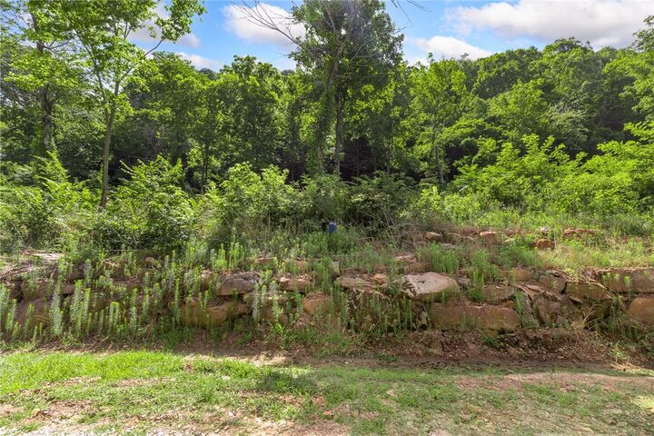 Property Photo: Lot 110 Significance Summit AR 72601