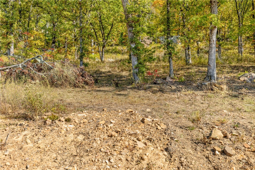 Property Photo:  Lot 62 Restore Ridge  AR 72601 