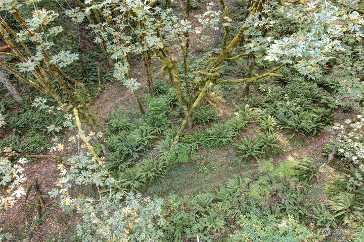 Property Photo:  37 Xxx  212th Way SE  WA 98075 
