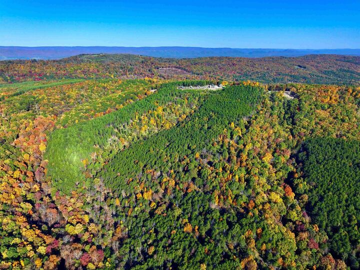 Property Photo: 570 Bluffs Potomac Ridge Road WV 26763