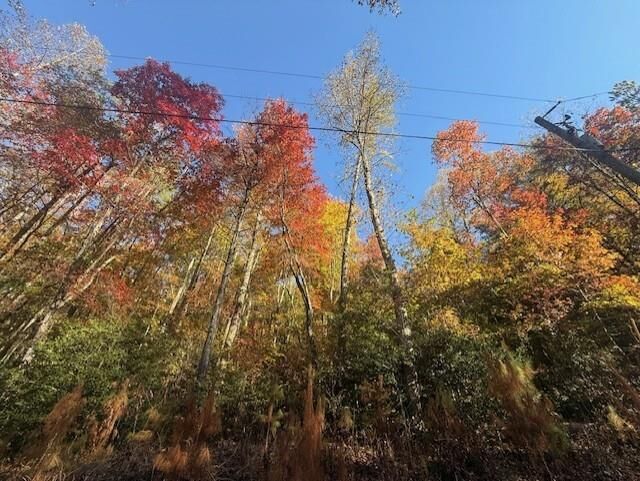 Property Photo:  650 Mulberry Trail  GA 30540