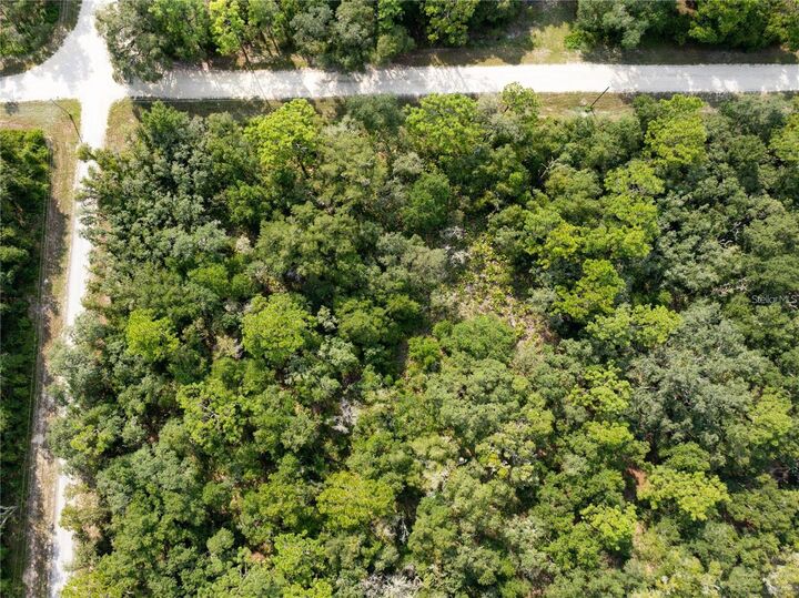 Property Photo:  Butternut Drive  FL 33597 