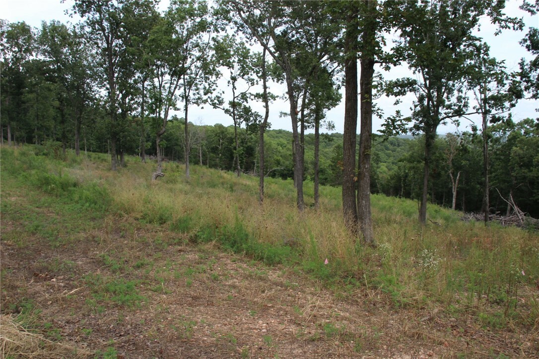 Property Photo:  Tracts 4-7 Mc 5039  AR 72682 