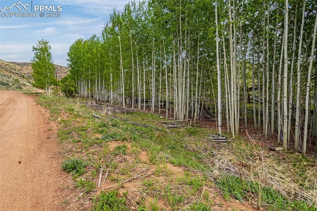 Property Photo:  L1 B4 Columbine Circle  CO 80863 