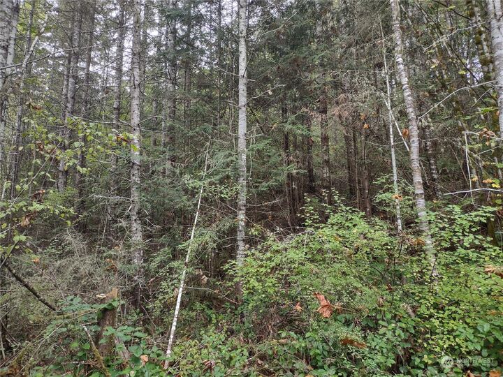Property Photo:  0  Elwha River Road  WA 98363 
