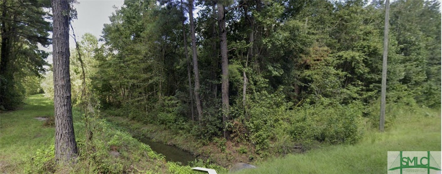 Property Photo:  Tract 1 Old Gress Island Road  GA 31320 