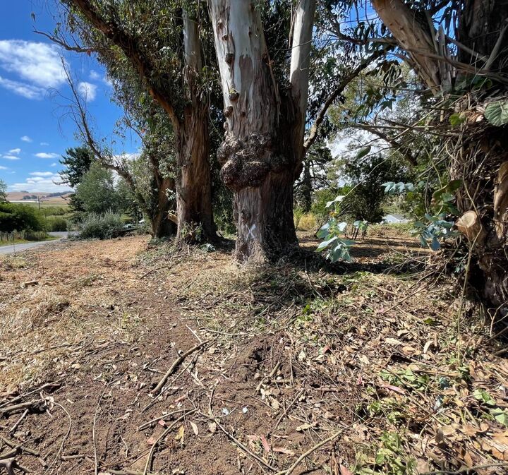 Property Photo: 2925 Johns Street CA 94972