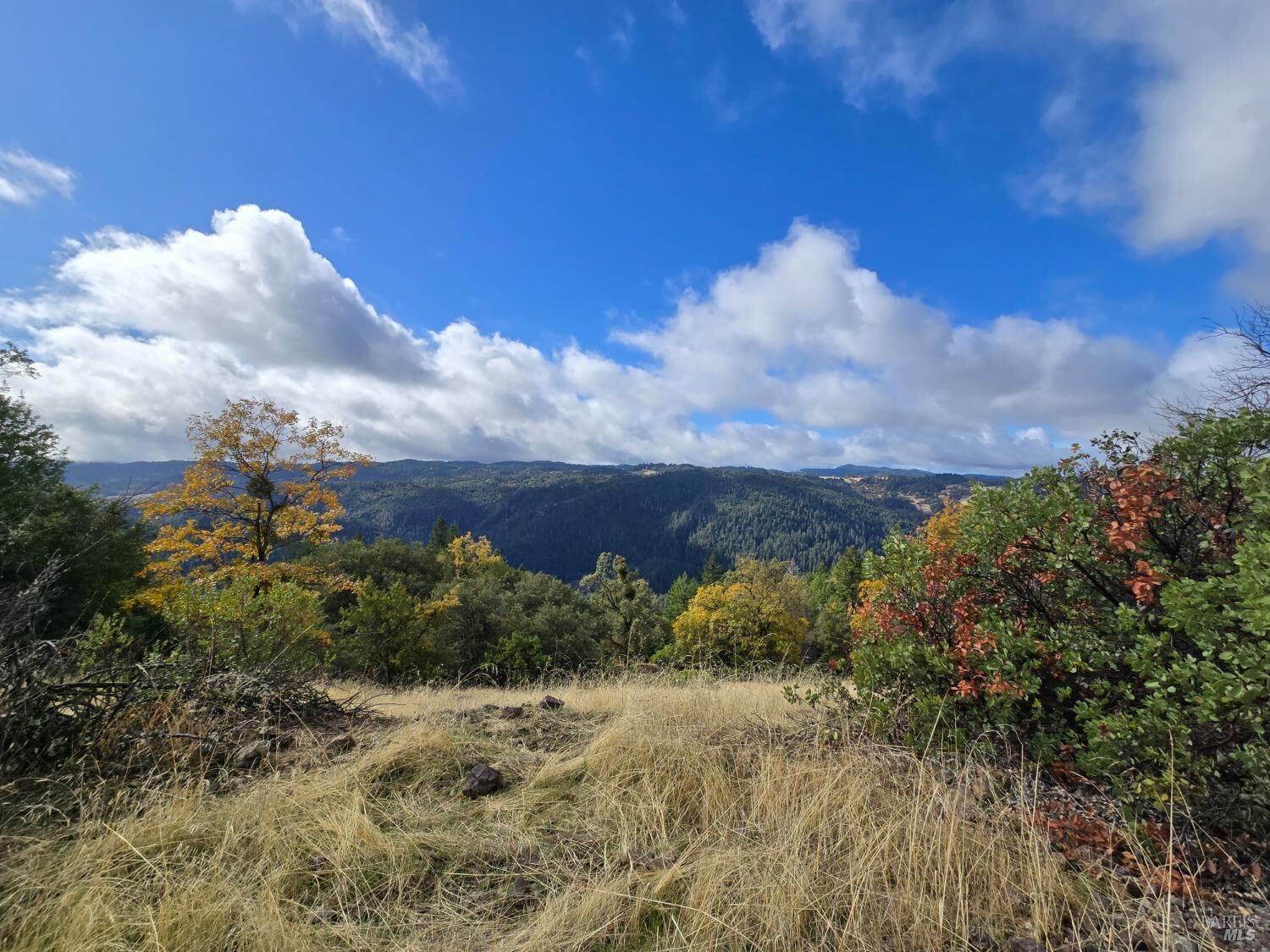 Property Photo: 32120 Shimmins Ridge Road CA 95490