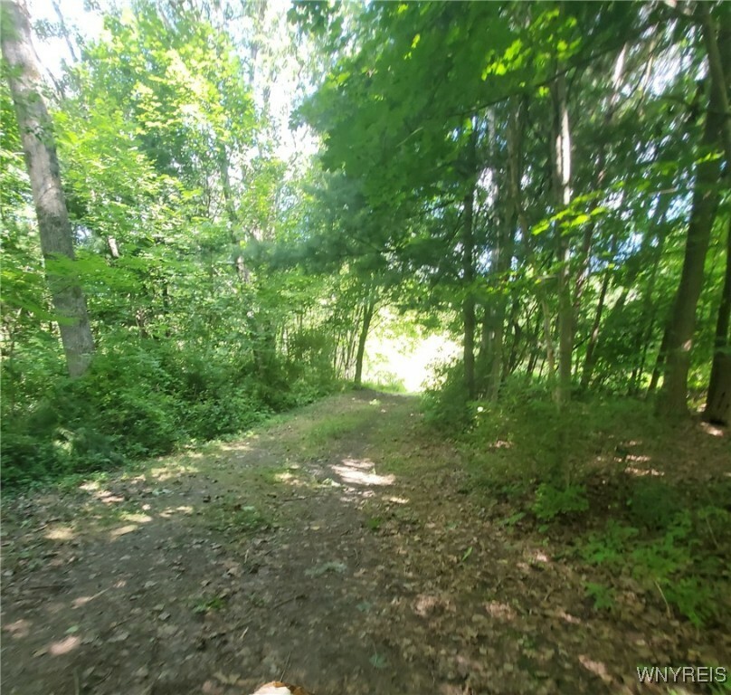 Property Photo:  2506 Hemlock Road  NY 14057 
