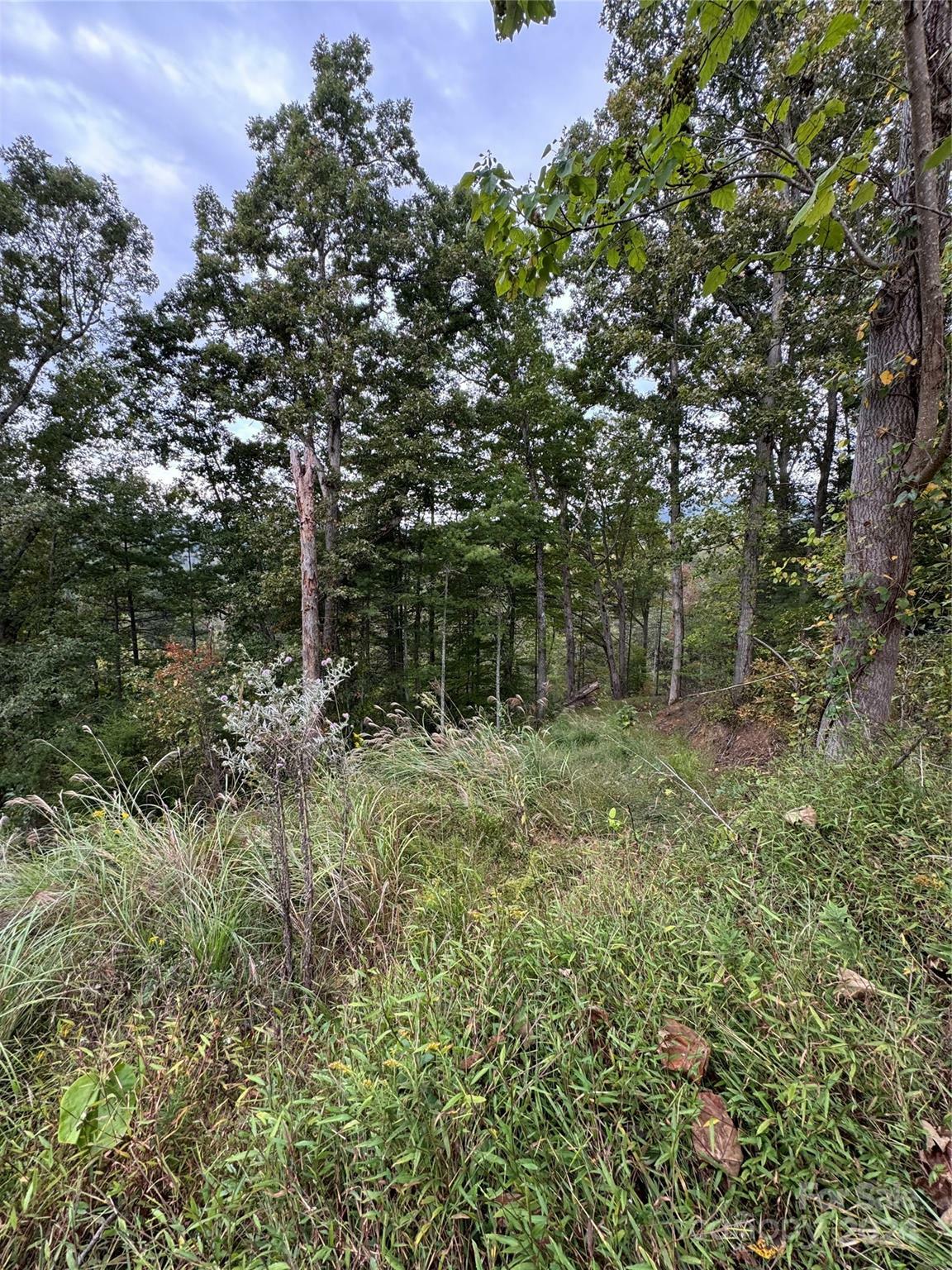 Property Photo:  9999 Tree Top Lane  NC 28753 