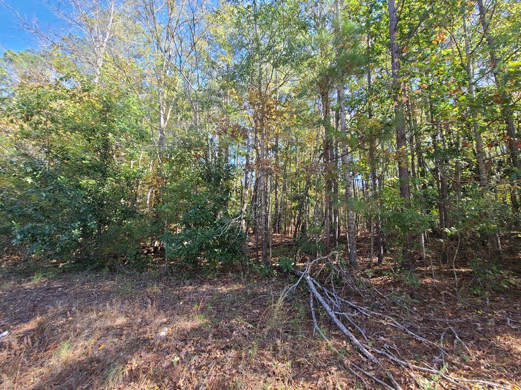 Property Photo:  Lot 90 E Lakeshore Drive  GA 31831 