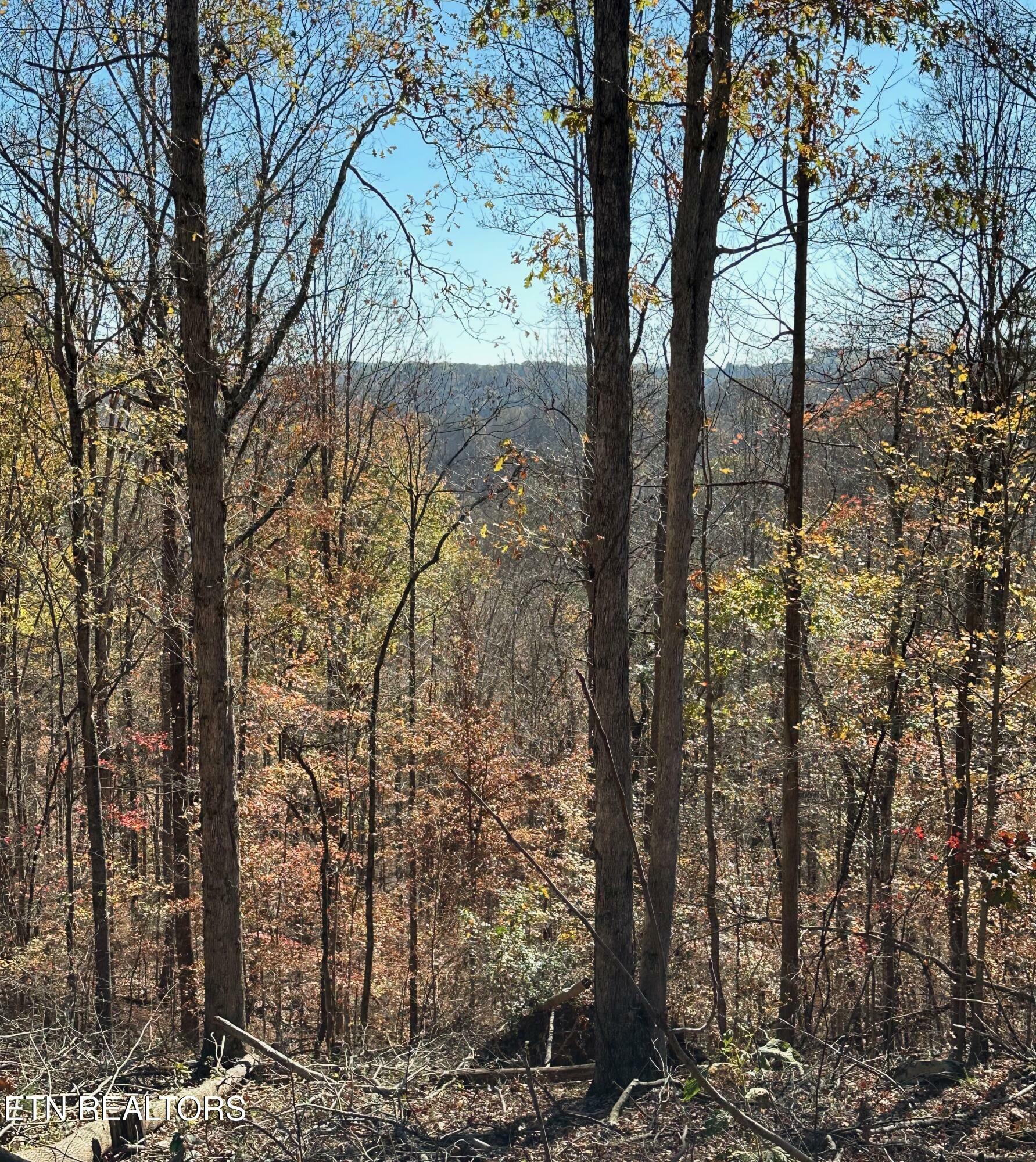 Property Photo:  Landmark Rd  TN 37757 