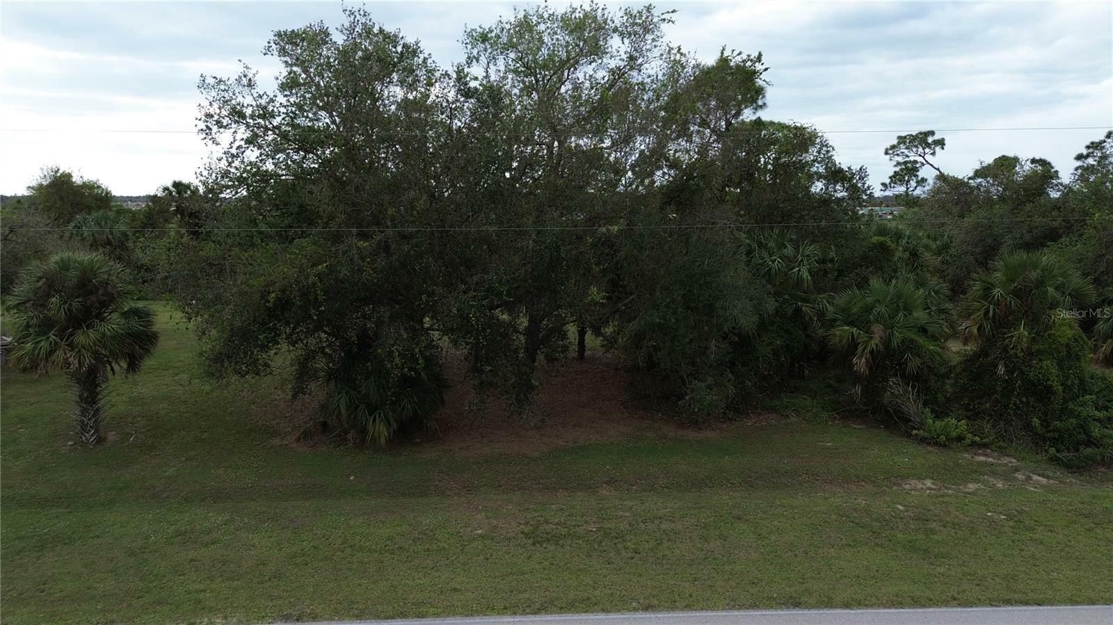 Property Photo:  13111 Green Gulf Boulevard  FL 33955 