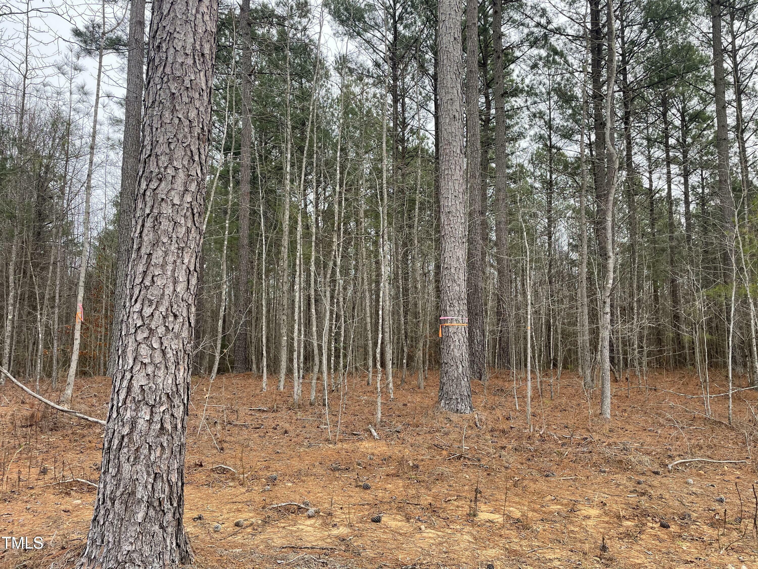 Property Photo:  0 Fish Stallings Rd  NC 27537 