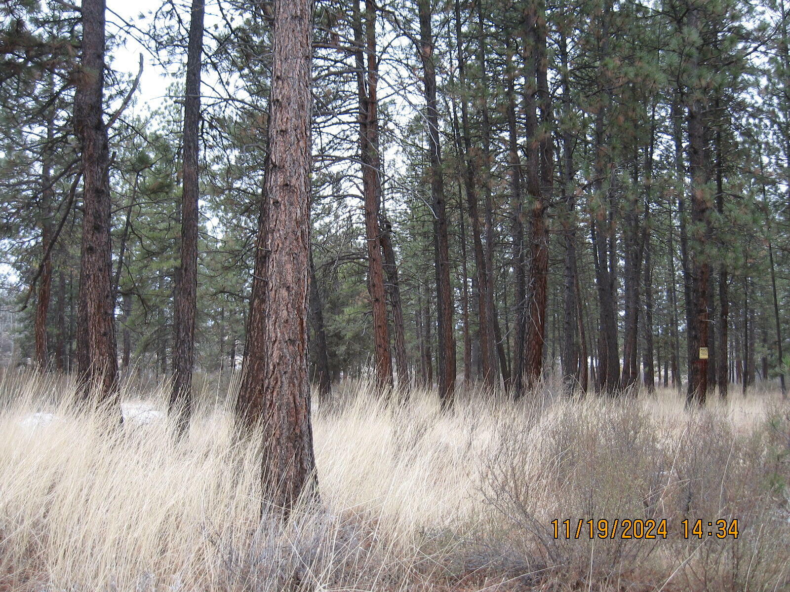 Property Photo:  Lot 22 Brittany Way  OR 97624 