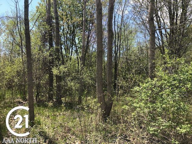 Property Photo:  0 27 Mile , Parcel A Road  MI 48048 