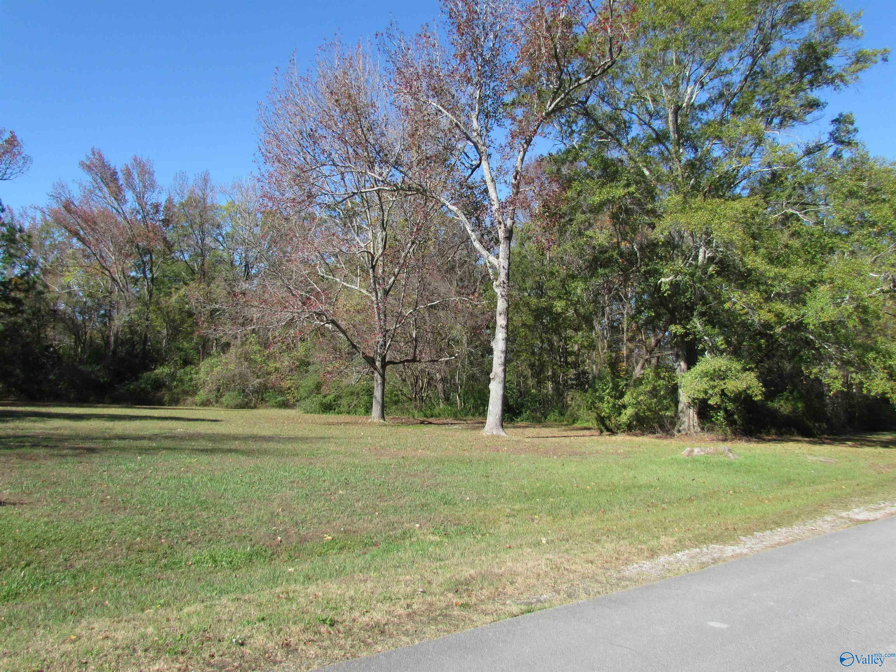 Property Photo:  Lot 14 Tim Avenue  AL 35601 