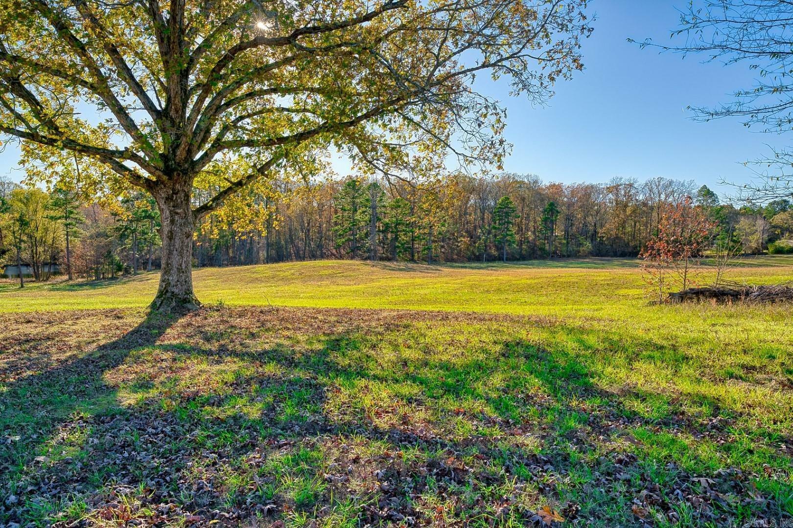 Property Photo:  000 Millcreek Road  AR 71901 