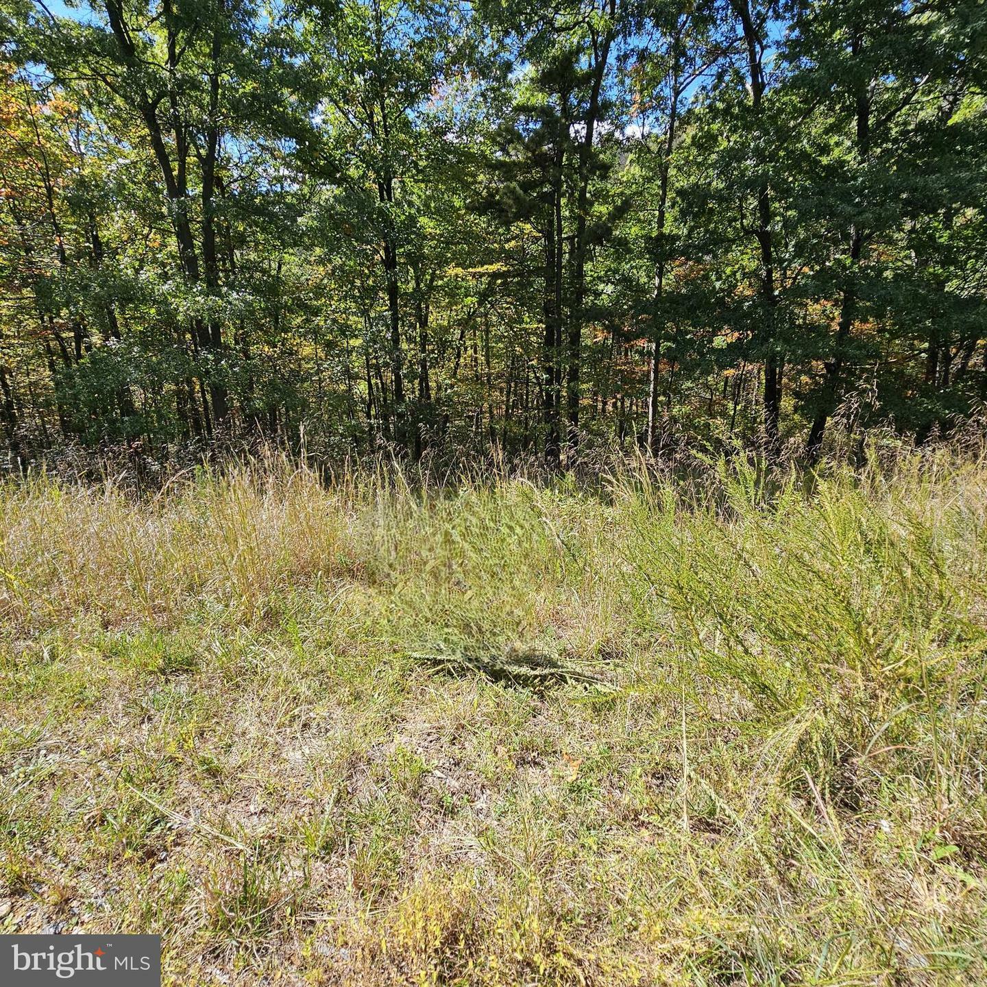 Property Photo:  Moundbuilder Loop  WV 25427 