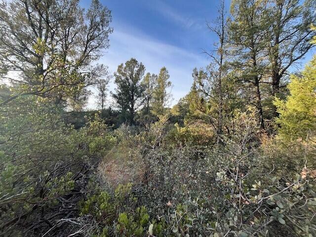 Property Photo:  1900 E Highlands Way  AZ 85541 