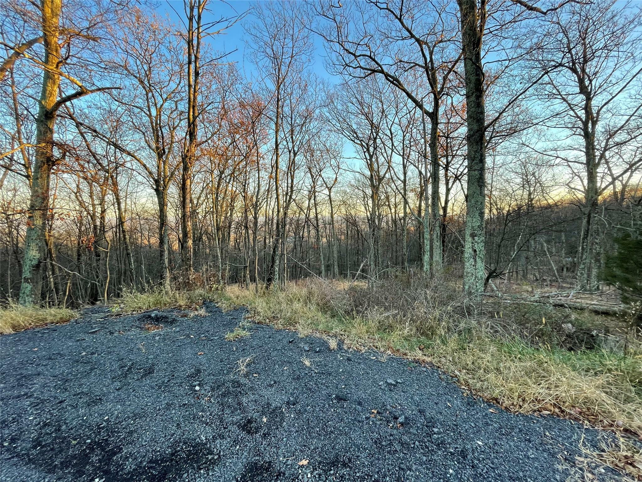 Property Photo:  Marl Road  NY 12566 