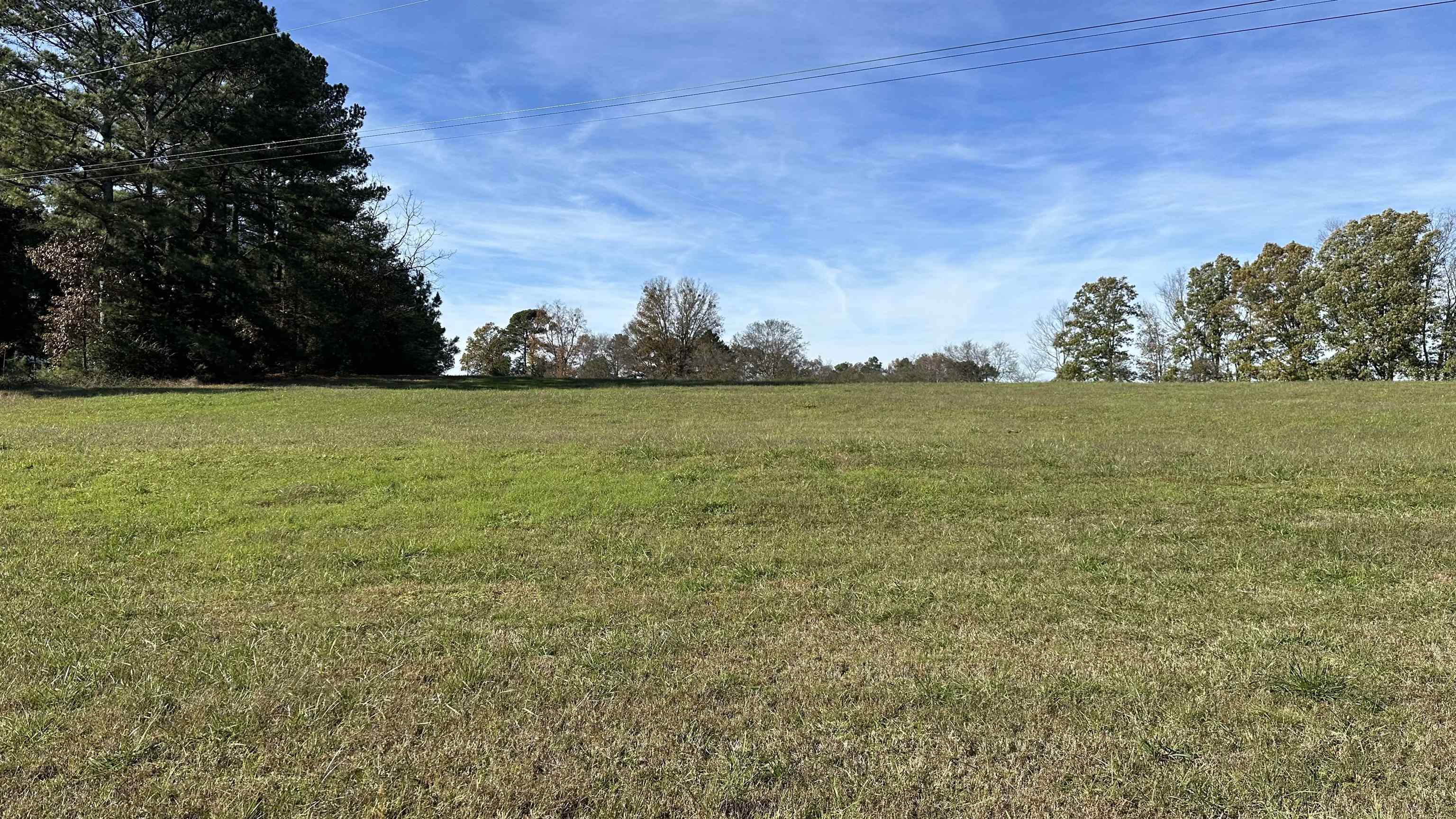 Property Photo:  Tbd Mt Carmel Rd  AL 35622 - FALKVILL 