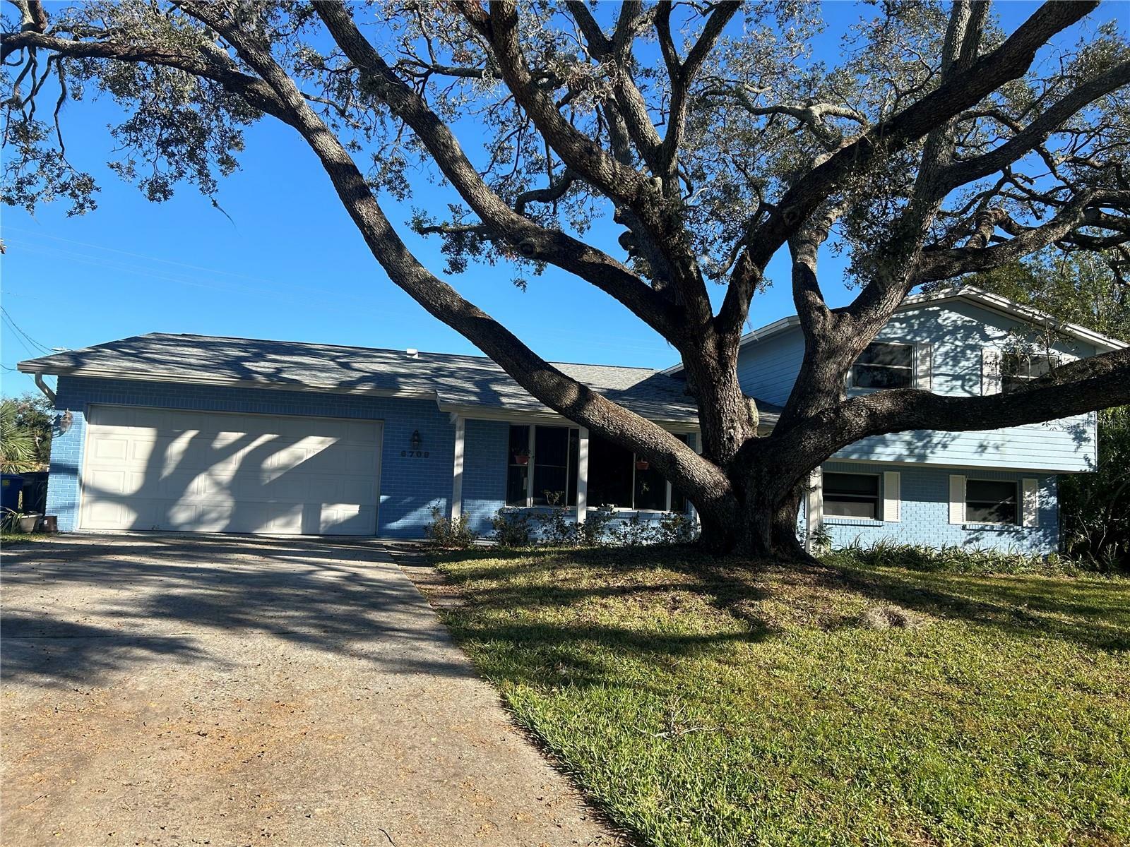 Property Photo:  6709 Mornay Circle  FL 33615 