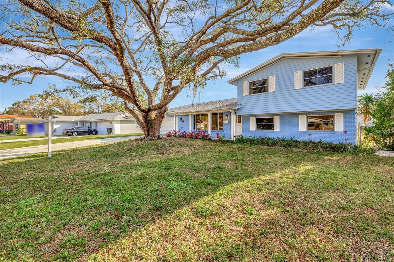 Property Photo:  6709 Mornay Circle  FL 33615 