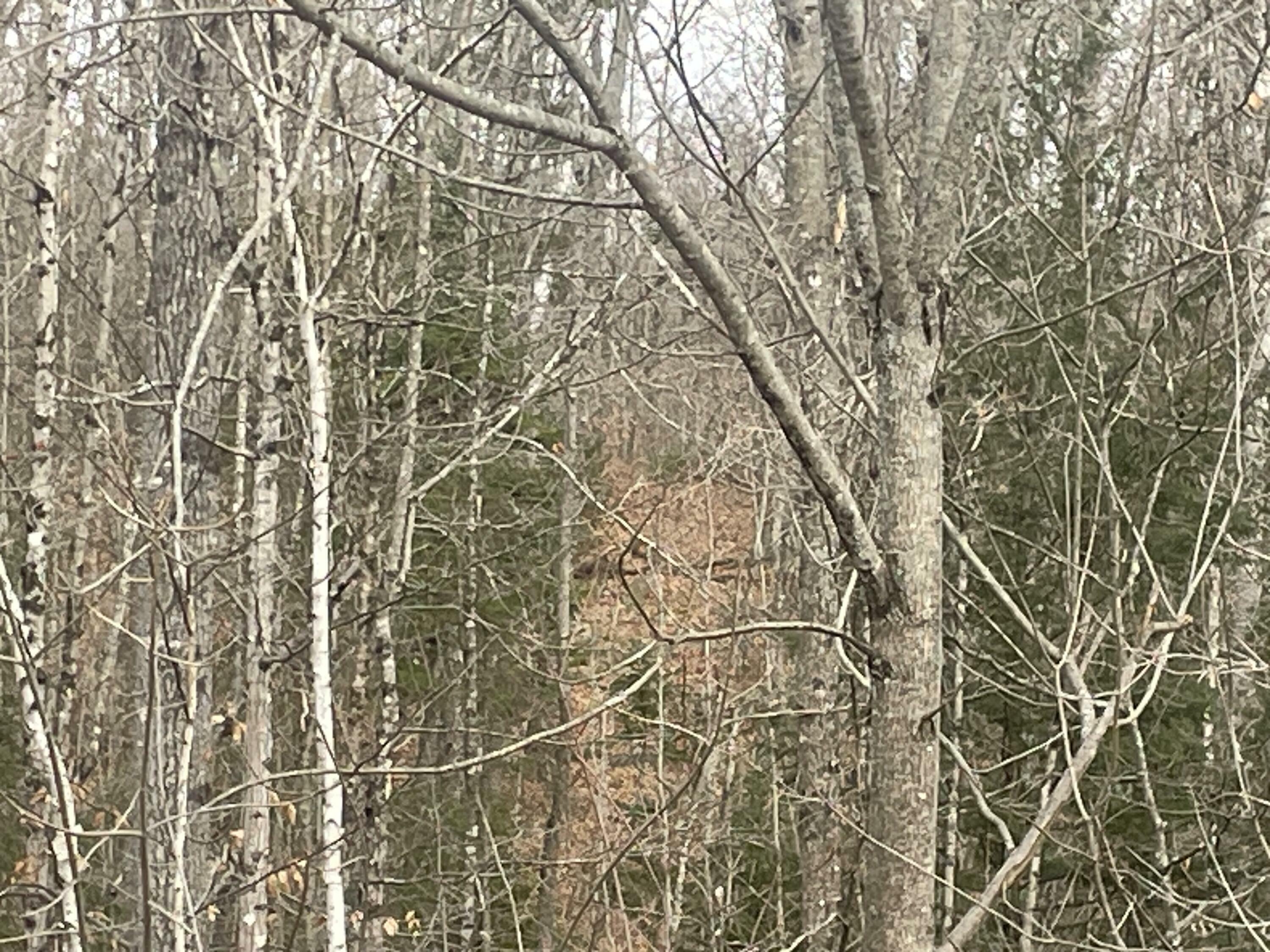 Property Photo:  Lot 22 Roxbury Notch Road Road  ME 04275 