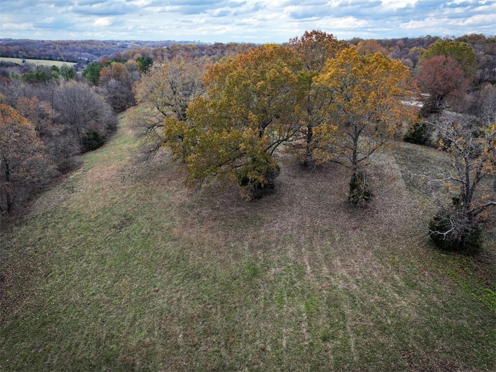 Property Photo:  Lot 4 Tye Road  AR 72601 