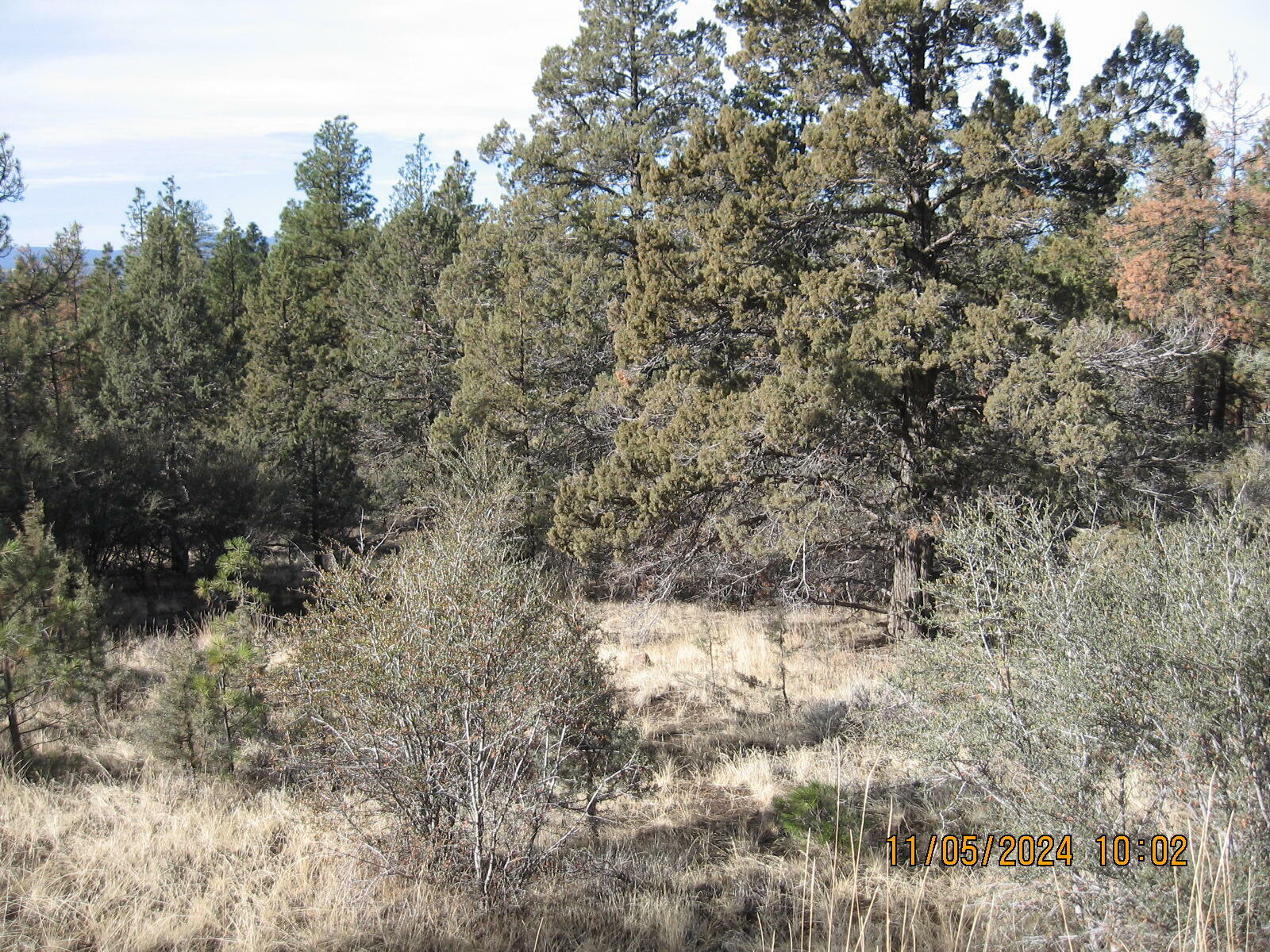 Property Photo:  Lot 7 Warbler Drive  OR 97623 